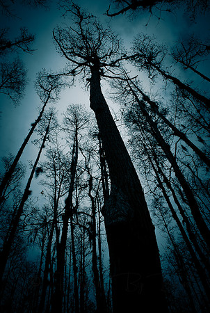 Photo Art by Bernard Friess