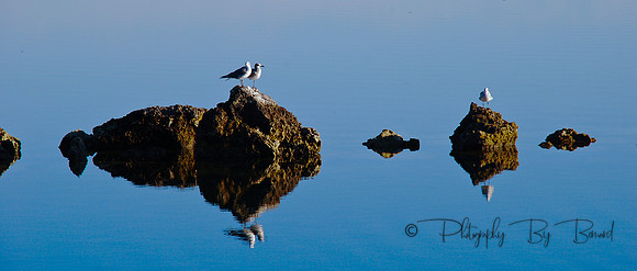 Photo Art by Bernard Friess