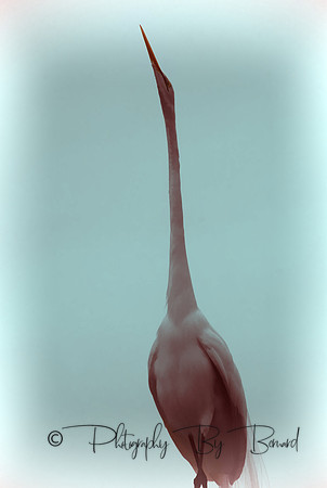 Photo Art by Bernard Friess