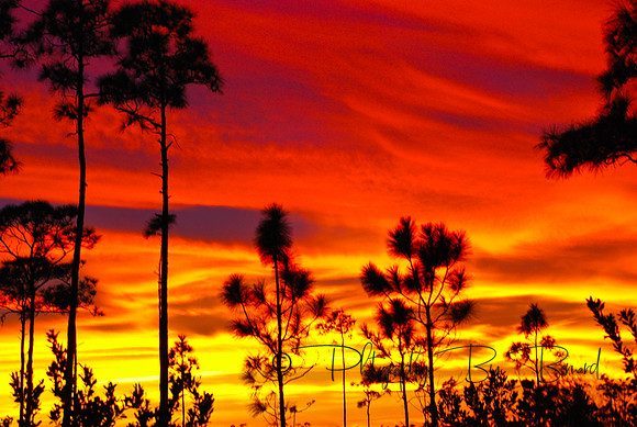sky on fire