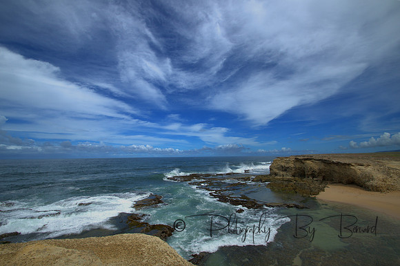 DSC_8146_pe