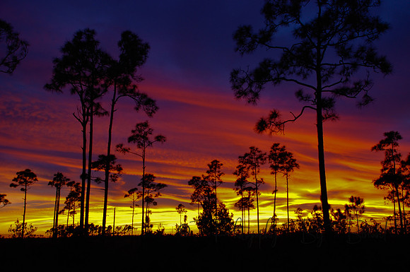 Photo Art by Bernard Friess